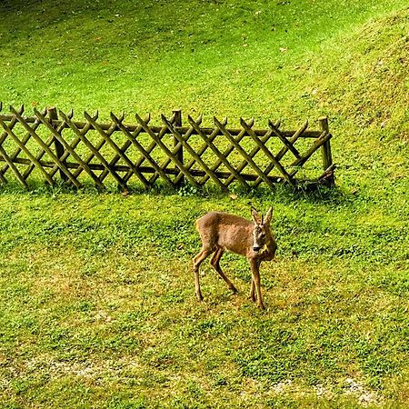 セメリングArt In Waldfriedenアパートメント エクステリア 写真