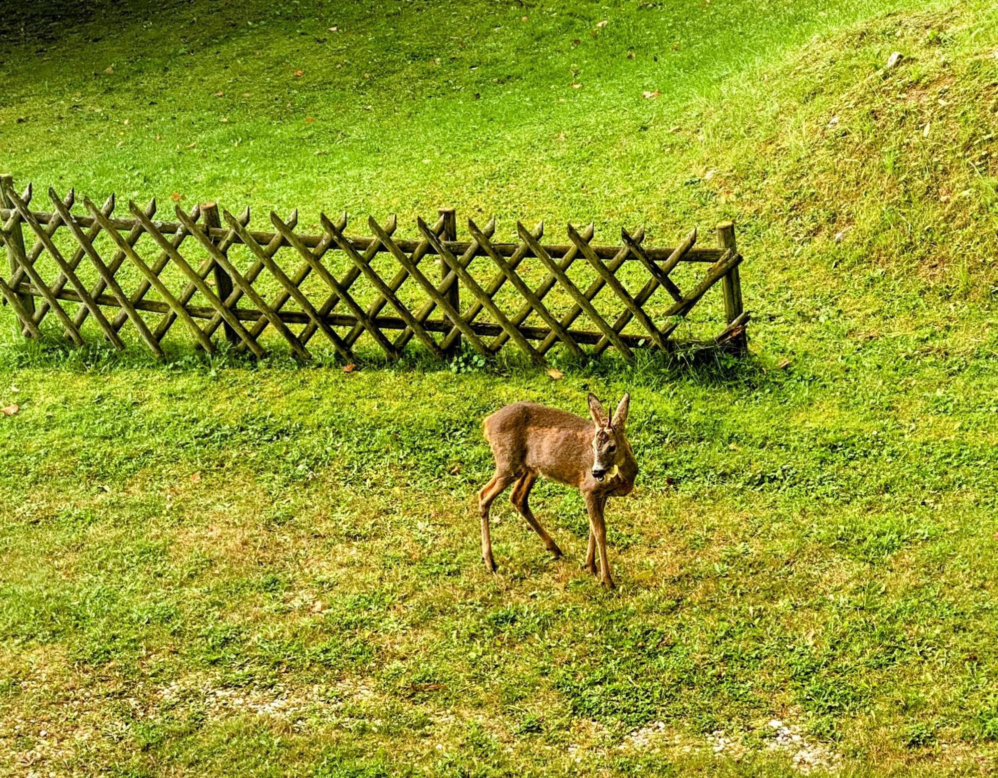 セメリングArt In Waldfriedenアパートメント エクステリア 写真