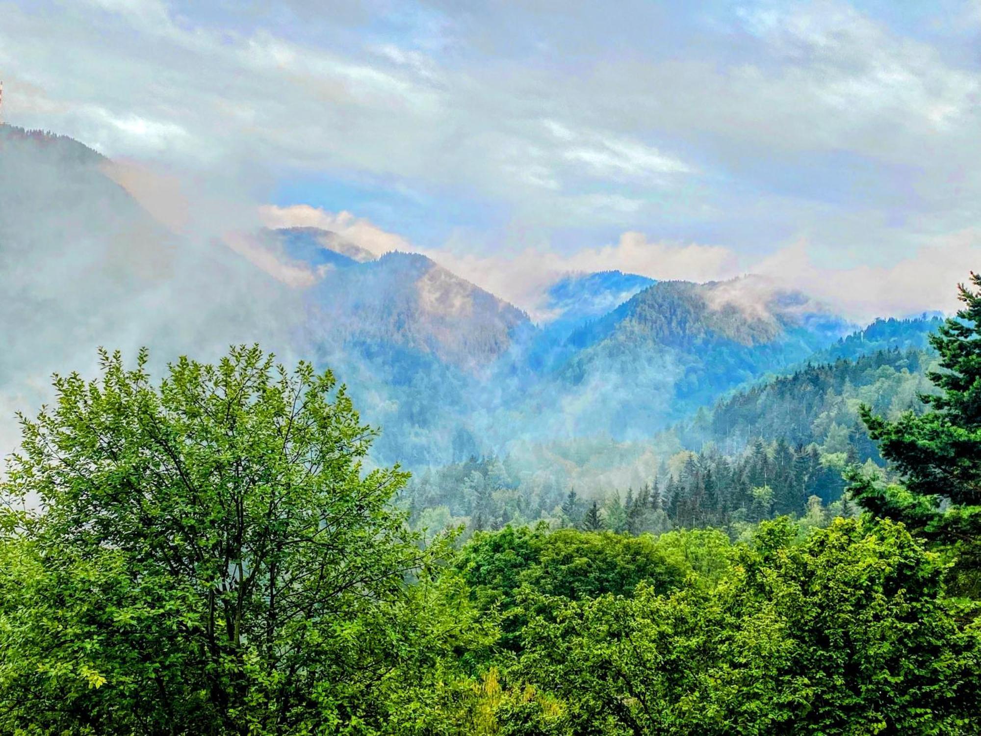 セメリングArt In Waldfriedenアパートメント エクステリア 写真